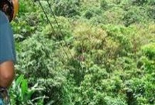Rainforest Canopy Tour